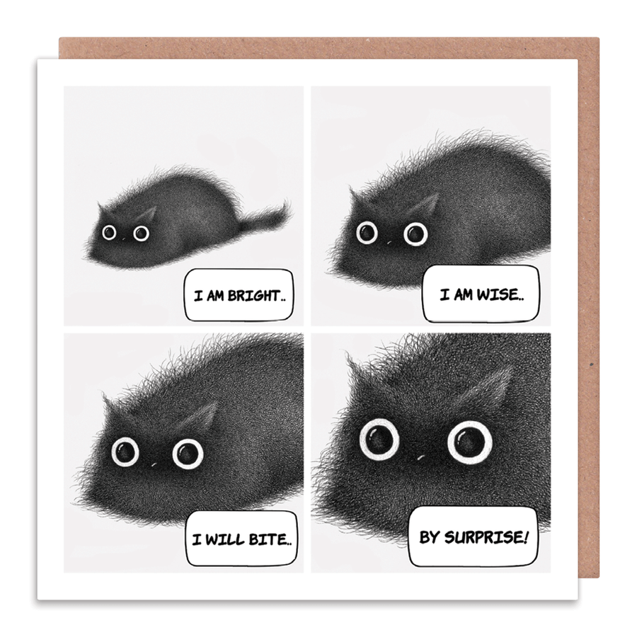 I will bite by surprise - Life with cats greetings card - Whale and Bird