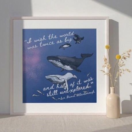 Humpback Whales - David Attenborough 8