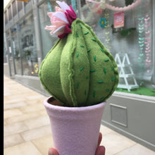 Load image into Gallery viewer, Felt Cactus - fun, funky and cute everlasting plants!
