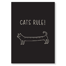 Positivity Postcard - Cats Rule - puns