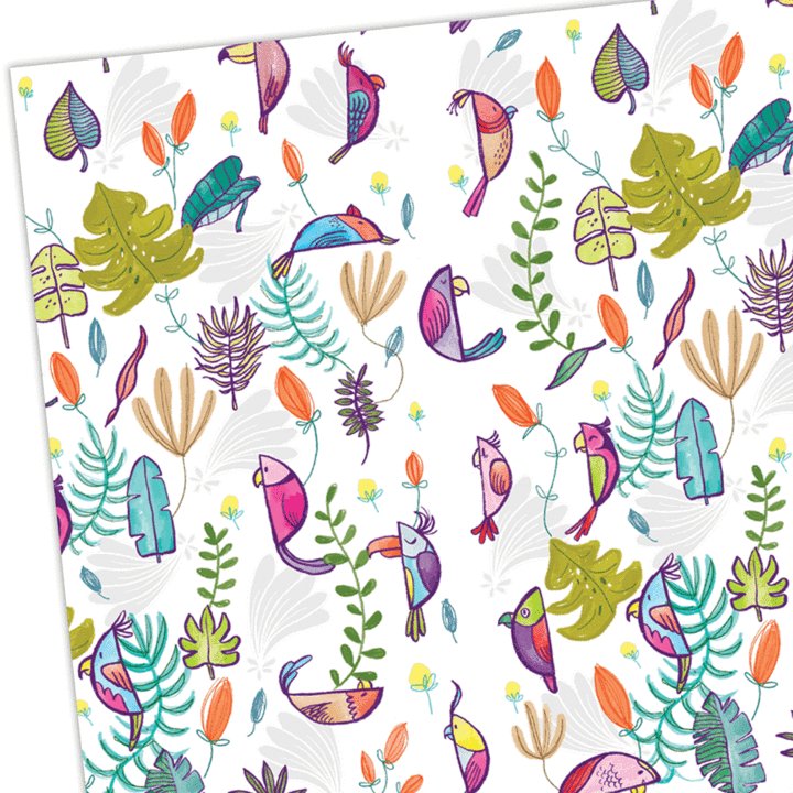Gift Wrap - Parrots - Whale and Bird - Bright and colourful gift wrap