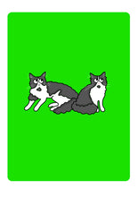 Load image into Gallery viewer, Pet Portrait Voucher - Personalised Pet drawings - Jennie Sergeant Designs
