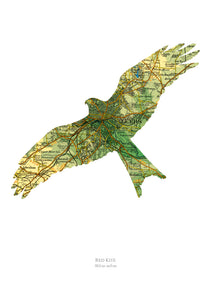 Vintage Map Artwork Framed Print - Red Kite - Available as Leeds, Yorkshire or Personalised Designs