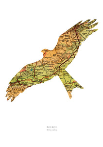 Vintage Map Artwork Framed Print - Red Kite - Available as Leeds, Yorkshire or Personalised Designs