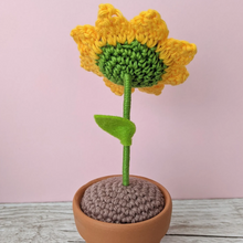 Load image into Gallery viewer, Crochet amigurami Sunflower in pot - CuddlingaCactus
